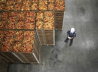 Food supply chain istock 1317777715